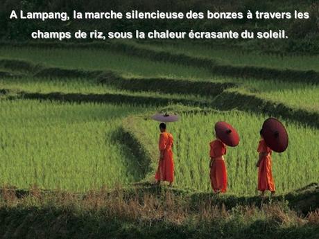 Pays Etranger - Bali et la Thaïlande