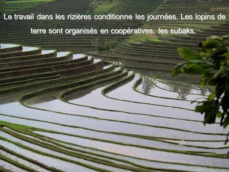 Pays Etranger - Bali et la Thaïlande