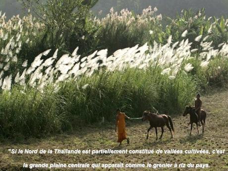 Pays Etranger - Bali et la Thaïlande