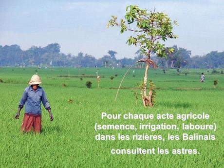 Pays Etranger - Bali et la Thaïlande