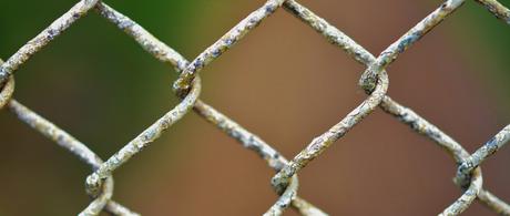 En détention, la gale ! L’invitée indésirable En détention, la gale ! L’invitée indésirable