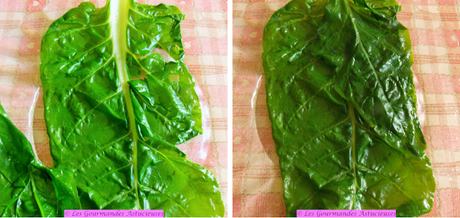 Blettes farcies aux boulettes de riz (Vegan) Blettes farcies aux boulettes de riz (Vegan)