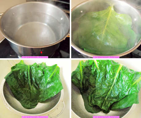 Blettes farcies aux boulettes de riz (Vegan) Blettes farcies aux boulettes de riz (Vegan)