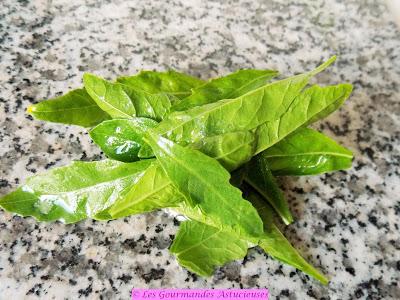 Blettes farcies aux boulettes de riz (Vegan) Blettes farcies aux boulettes de riz (Vegan)