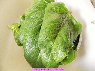 Blettes farcies aux boulettes de riz (Vegan) Blettes farcies aux boulettes de riz (Vegan)