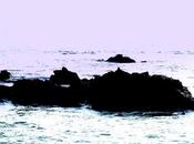 passé simple composé