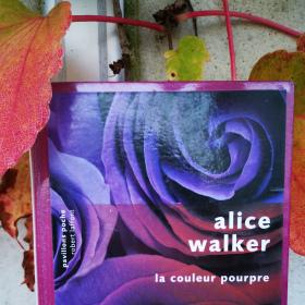 Throwback thursday livresque n°80 N comme…