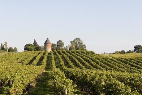 Domaine Laballe : aux sources de l'Armagnac