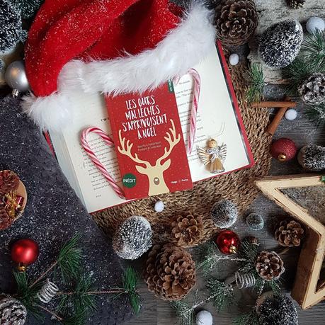 Les Ours mal léchés s’apprivoisent à Noël - Valentine Stergann