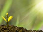 fonds responsables…