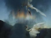 Kasbo Making Paracosm