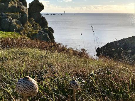 train des jours train des jours