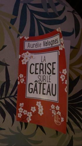 La cerise sur le gâteau de Aurélie Valognes, pour revenir à l’essentiel ! 491B4217-D620-41AA-946A-8419D48EAFE3.jpg