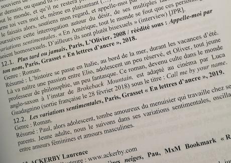 Une bibliothèque gay idéale : Dictionnaire critique et quasi exhaustif de la littérature gay disponible en langue française