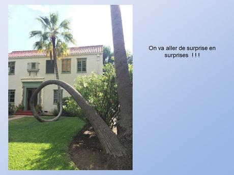 Divers - De belles photos d'Arbres