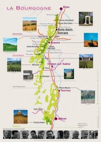 logo2-340x476 logo2-340x476