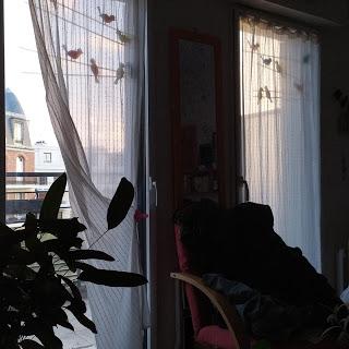 1642. Un dimanche de confinement [billet mis à jour durant la journée]