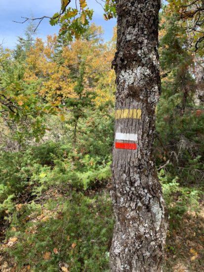 Ce que 2020 nous apprend : 10 points clefs pour le tourisme en 2021