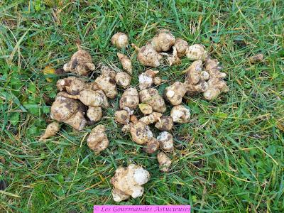 Salade de pâtes aux topinambours (Vegan) Salade de pâtes aux topinambours (Vegan)