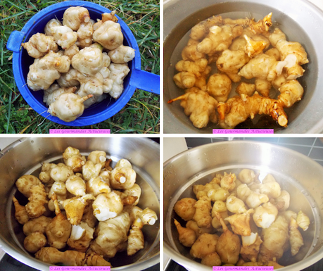 Salade de pâtes aux topinambours (Vegan) Salade de pâtes aux topinambours (Vegan)