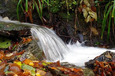 Des mots essentiels !