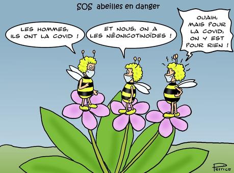 SOS, abeilles en danger !