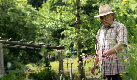 Un herboriste passionné par les plantes médicinales (vidéo)