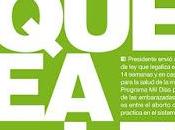 Argentine, bataille l’avortement légal engagée [Actu]