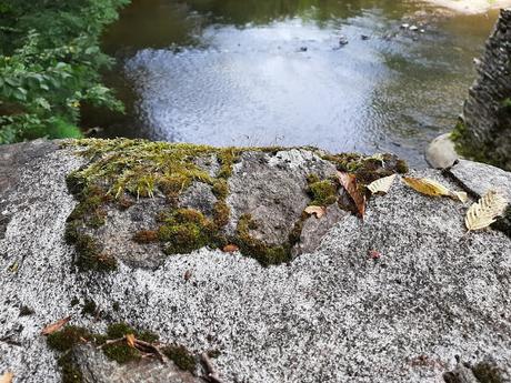 Le rêve de crue et de Cahus Le rêve de crue et de Cahus