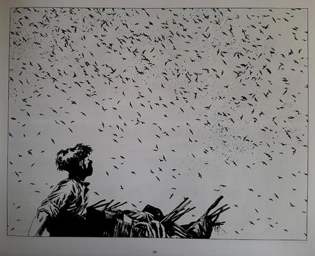 En cet après-midi où surgissaient les merles