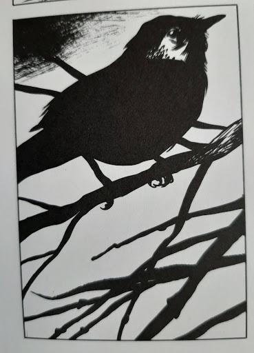 En cet après-midi où surgissaient les merles