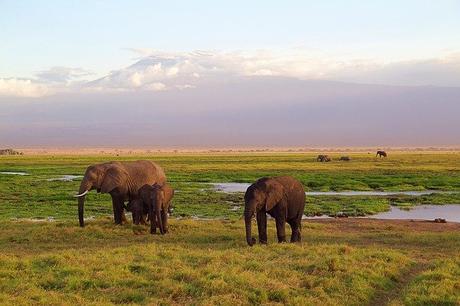 Ecotourisme Kenya