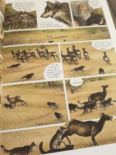 Le loup m'a dit, tome 1 de Servais