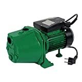 Meilleure pompe de surface – Comparatif %currentmonth% %currentyear% Ribiland 1314 - Pompe à Eau de Surface Auto-amorçante - 970 Watts - Débit de 40 l/min - Vert
