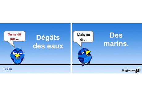 Divers - Cours de Français - 2