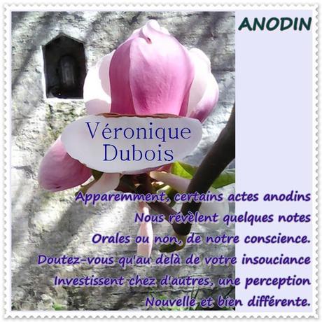 Anodin - Acrostiche - Véronique Dubois