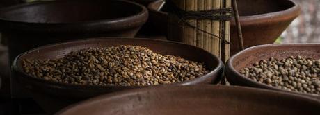 10 Aliments Protéinés pour Réussir sa Prise de Masse lentilles