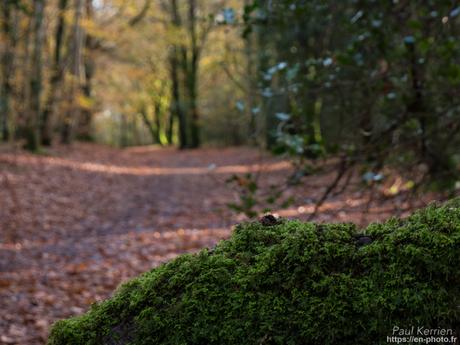 à travers LE tube #Bretagne #Finistère