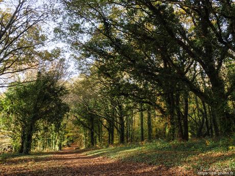 à travers LE tube #Bretagne #Finistère