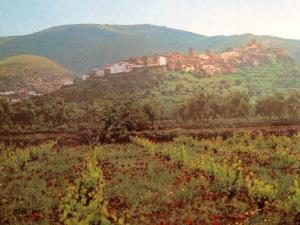 Museo de Arte Contemporáneo « Vicente Aguilera CERNI » à Vilafamés Espagne