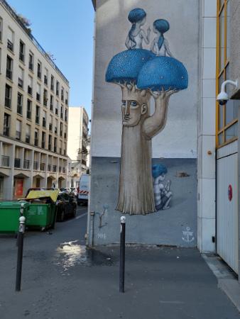 champignonsbleus.jpg, juin 2020 champignonsbleus.jpg