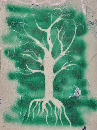 arbreracines.jpg, juin 2020 arbreracines.jpg