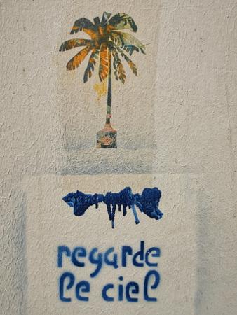 palmier.jpg, juin 2020 palmier.jpg