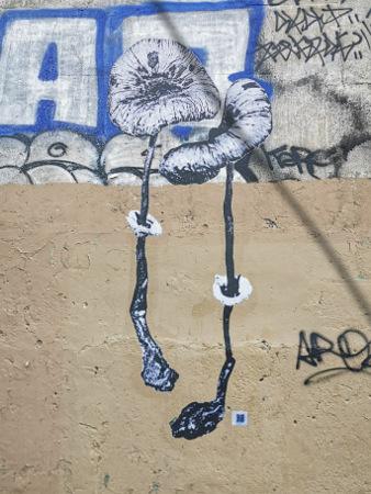 2fleurs.jpg, juin 2020 2fleurs.jpg