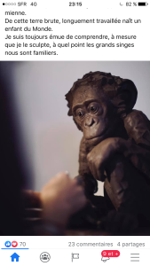 une artiste et  Le monde animal :  Sophie Mattei – de belles découvertes.