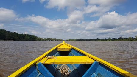 Où aller en Amazonie : Colombie, Pérou, Equateur, Guyane ?