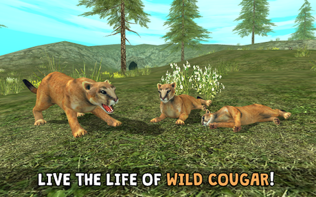Télécharger Wild Cougar Sim 3D APK MOD (Astuce) 6