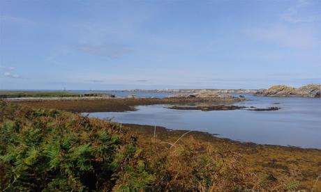 tout change, tout le temps tout change, tout le temps