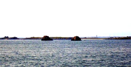 tout change, tout le temps tout change, tout le temps