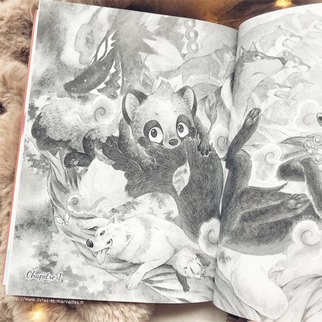 Le Renard et le petit Tanuki